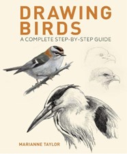 تصویر  Drawing Birds (A Complete Step-by-Step Guide)