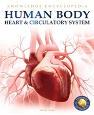 تصویر  Human Body (Heart And Circulatory System)