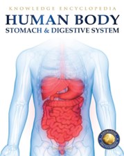 تصویر  Human Body (Stomach And Digestive System)