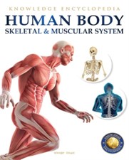 تصویر  Human Body (Skeletal And Muscular System)