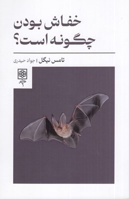 تصویر  خفاش بودن چگونه است؟