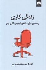 تصویر  زندگي كاري (راهنمايي براي داشتن تجربه هاي كاري بهتر)