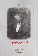 تصویر  غريبه ي مرموز