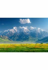 تصویر  پازل طرح طبيعت 260 تكه پلكسي (طرح 32104)