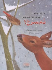 تصویر  در اين برف اينجا چه مي كني دم سرخ؟