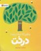 تصویر  وقتي كه درخت درخت شد!
