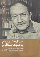 تصویر  منم كه پشت تمام پنجره ها منتظرم