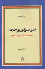 تصویر  فنومنولوژي حجم(اسپاسمانتاليسم)