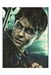 تصویر  دفتر جيبي هري پاتر (555) Harry Potter