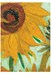 تصویر  پازل 1000 Sunflower (6000-5429)