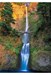 تصویر  پازل 1000 Multnomah Falls Oregon (6000-0546)