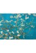 تصویر  پازل 1000 Almond Blossom (6000-0153)
