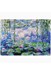 تصویر  پازل 1000 Water Lilies (6000-4366)