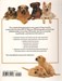 تصویر  ASPCA Complete Guide to Dogs